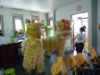 Lion Dance